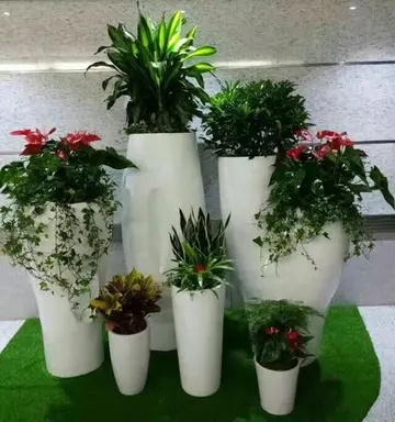 公司不同场所该怎么去租摆植物? 公司不同场所该怎么去租摆植物?